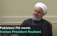 Pakistani-FM-meets-Iranian-President-Rouhani
