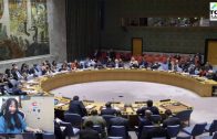 Vietnam-chaired-the-UN-Security-Council-meeting-on-the-Middle-East-situation